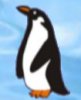 Penguin Websites NZ